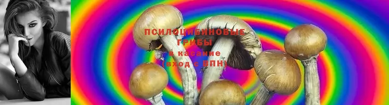 Галлюциногенные грибы Magic Shrooms  darknet формула  Краснокамск 